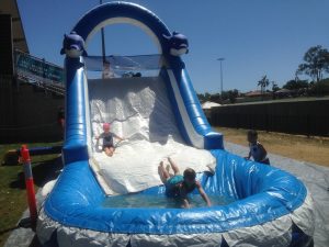 DOLPHIN WATER SLIDES 10X3X3MH AGES FROM 3 TO ADULTS